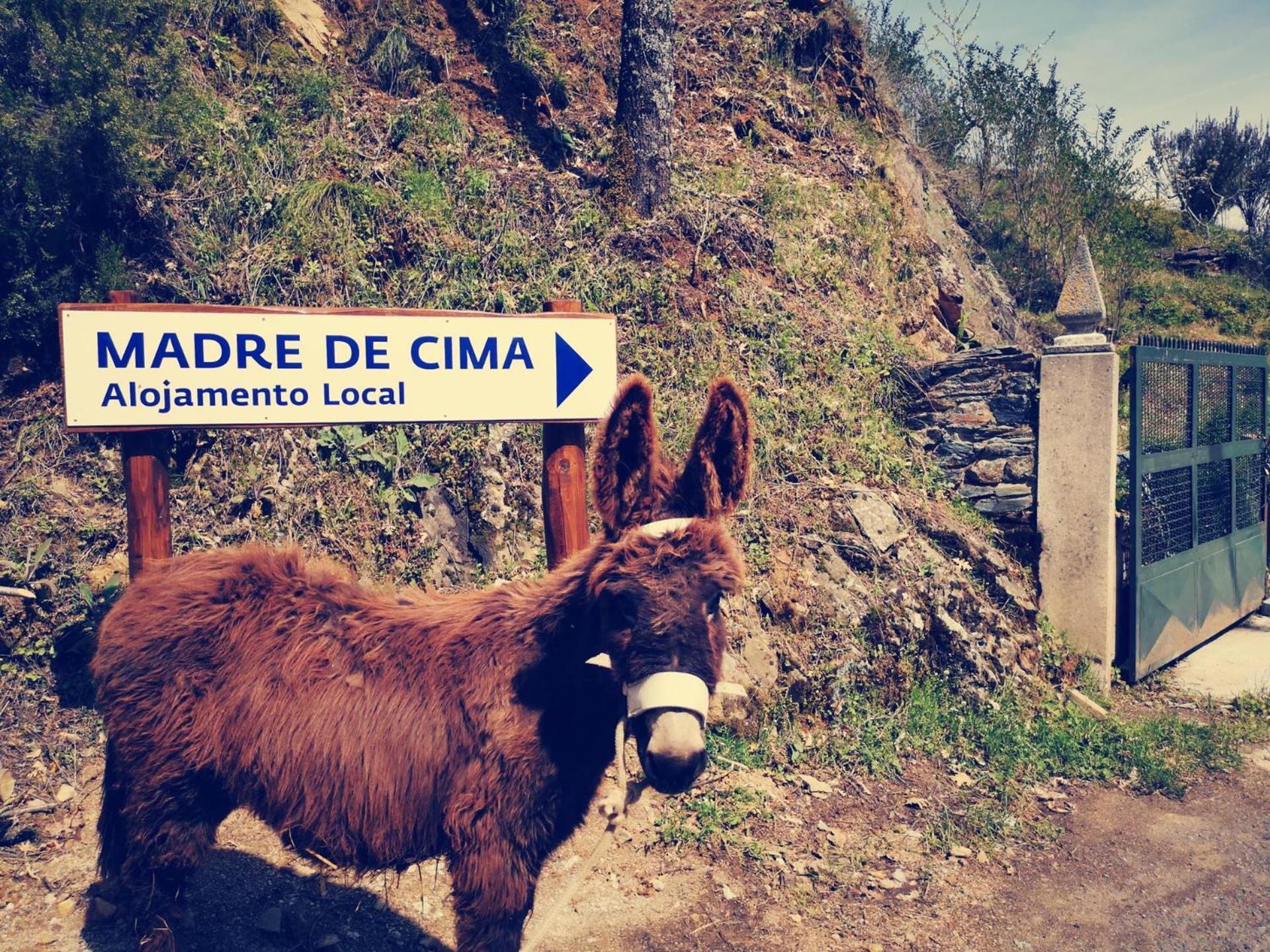Alojamento Local Madre De Cima Vinhais Buitenkant foto